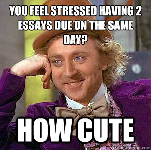 You feel stressed having 2 essays due on the same day? How cute  Condescending Wonka