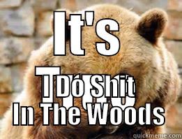 IT'S TRUE I DO SHIT IN THE WOODS Misc