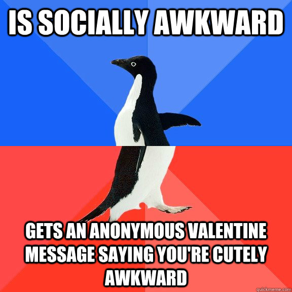 Is socially awkward  Gets an anonymous valentine message saying you're cutely awkward   Socially Awkward Awesome Penguin