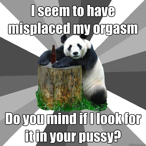 I seem to have misplaced my orgasm Do you mind if I look for it in your pussy?  Pickup-Line Panda