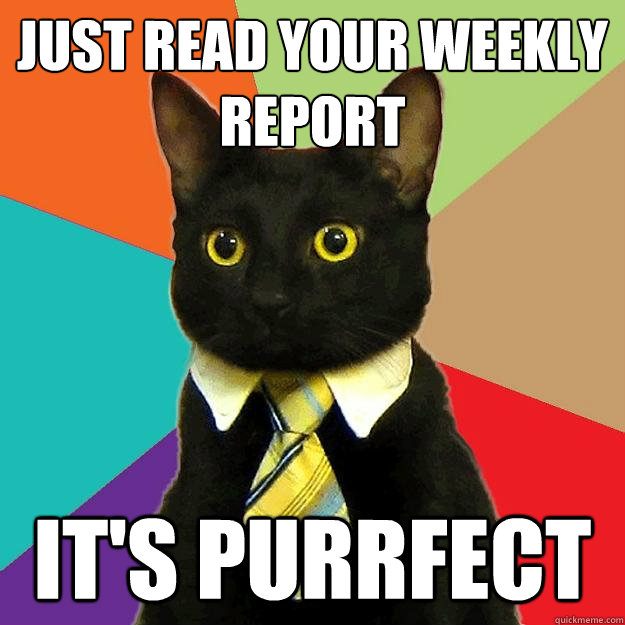 Just read your weekly report it's purrfect - Just read your weekly report it's purrfect  Business Cat Me Gusta Your Report