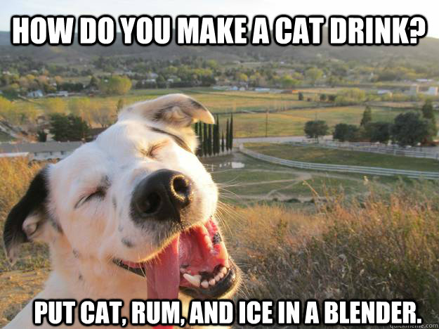 How do you make a cat drink? Put cat, rum, and ice in a blender. - How do you make a cat drink? Put cat, rum, and ice in a blender.  Joking Dog