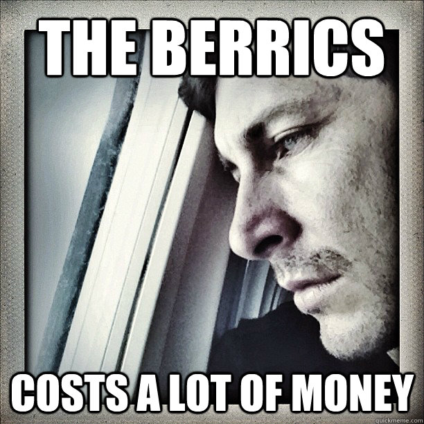 the berrics  costs a lot of money  