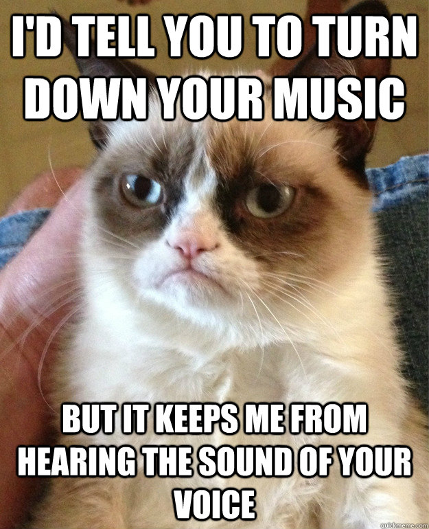 i'd tell you to turn down your music but it keeps me from hearing the sound of your voice  Grumpy Cat