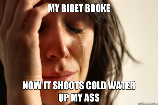 My bidet broke  now it shoots cold water 
up my ass  First World Problems