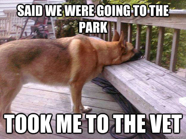 said we were going to the park took me to the vet  First World Dog problems