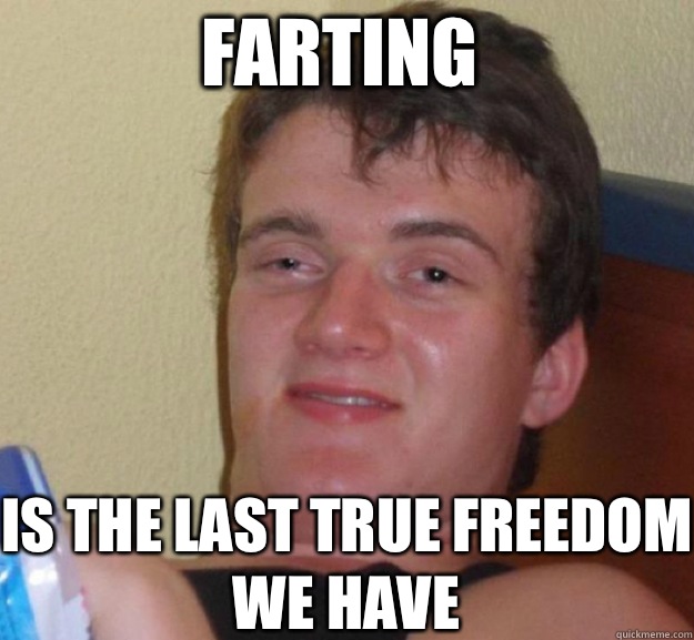 Farting Is the last true freedom we have  ten guy