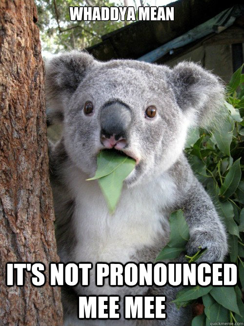 WHADDYA MEAN IT'S NOT PRONOUNCED MEE MEE  koala bear