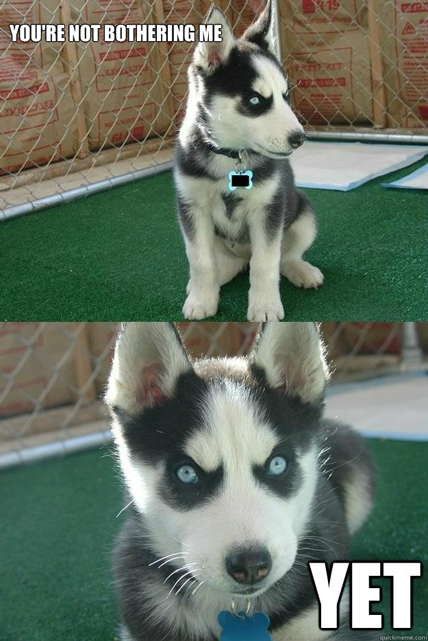 You re Not Bothering Me YET Insanity Puppy Quickmeme you-re-not-bothering-me-yet-insanity-puppy-quickmeme