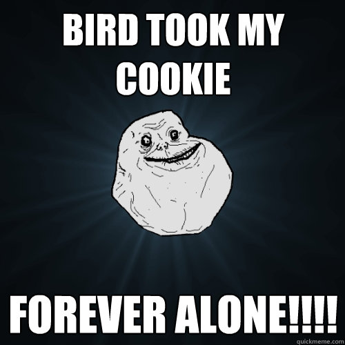 bird took my cookie forever alone!!!!   Forever Alone