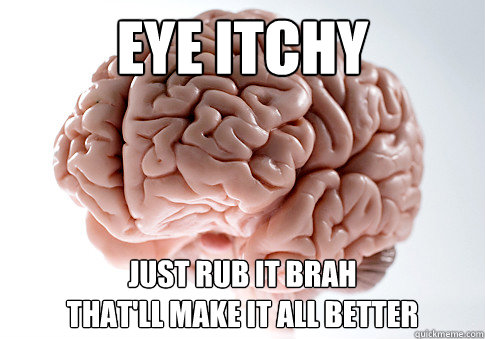 Eye itchy Just rub it brah
that'll make it all better  Scumbag Brain