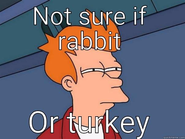 NOT SURE IF RABBIT OR TURKEY Futurama Fry