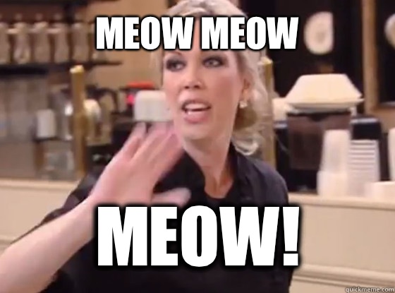 MEOW MEOW MEOW!  Overly Hostile Amy