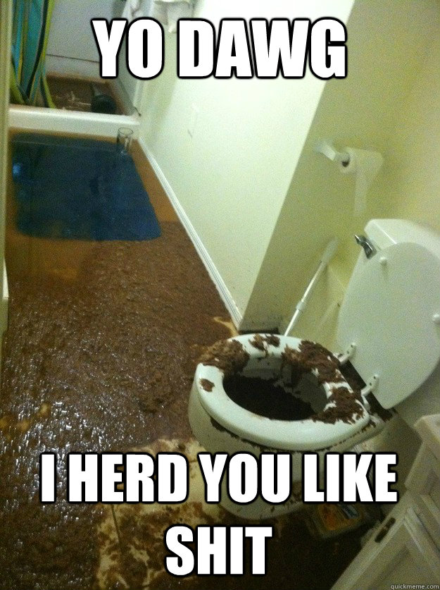 Yo Dawg I Herd you like shit  Shit Storm