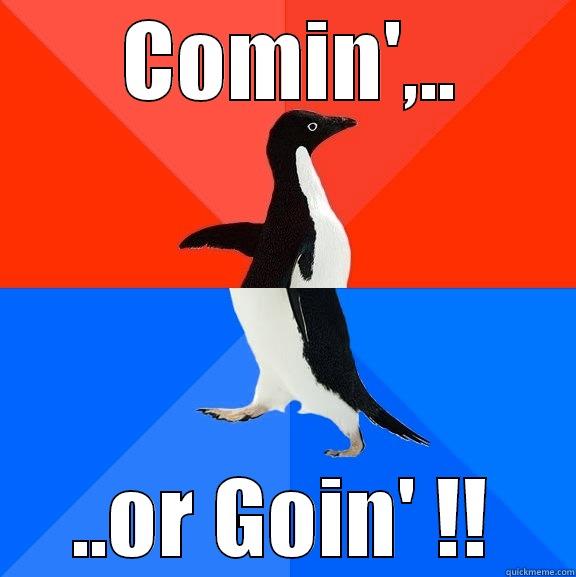  COMIN',.. ..OR GOIN' !! Socially Awesome Awkward Penguin
