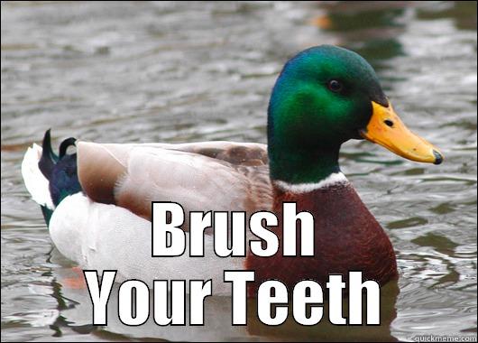  BRUSH YOUR TEETH Actual Advice Mallard