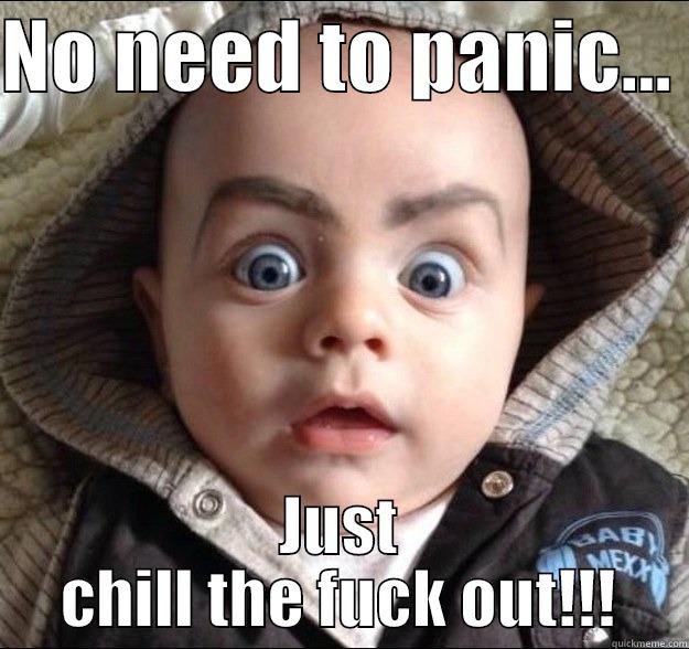 NO NEED TO PANIC...  JUST CHILL THE FUCK OUT!!! Misc
