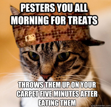 Pesters you all morning for treats Throws them up on your carpet five minutes after eating them
 - Pesters you all morning for treats Throws them up on your carpet five minutes after eating them
  Scumbag Cat