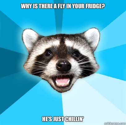 Why is there a fly in your fridge? He's just chillin'  Lame Pun Coon