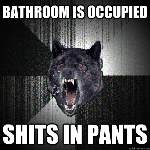 bathroom is occupied shits in pants  Insanity Wolf