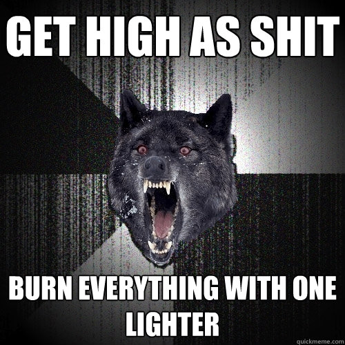 get high as shit burn everything with one lighter  Insanity Wolf