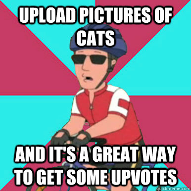 Upload pictures of cats and it's a great way to get some upvotes - Upload pictures of cats and it's a great way to get some upvotes  Great way