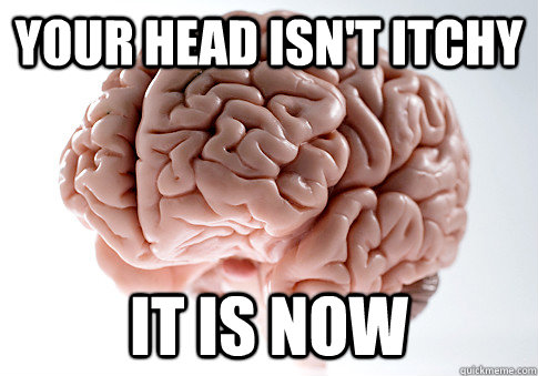 Your head isn't itchy it is now   Scumbag Brain