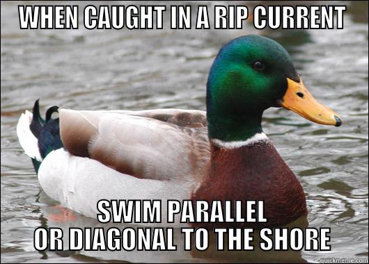 WHEN CAUGHT IN A RIP CURRENT SWIM PARALLEL OR DIAGONAL TO THE SHORE Actual Advice Mallard