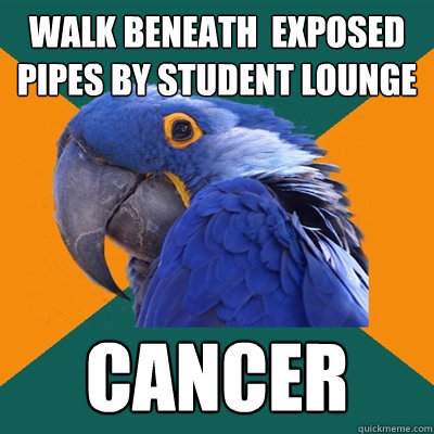 Walk beneath  exposed pipes by student lounge cancer  Paranoid Parrot