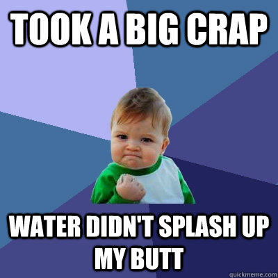 Took a big crap water didn't splash up my butt  Success Kid