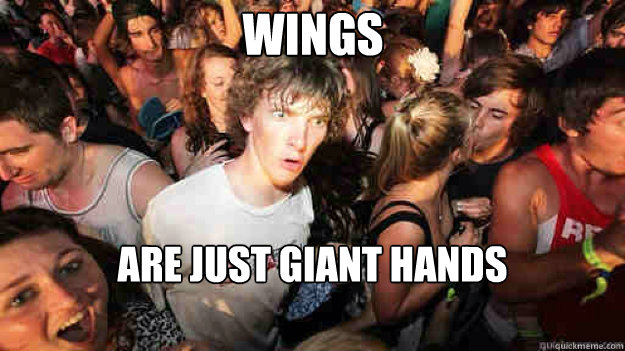 Wings are just giant hands - Wings are just giant hands  Misc