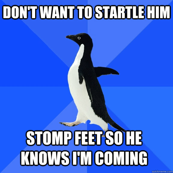 Don't want to startle him Stomp feet so he knows I'm coming    Socially Awkward Penguin