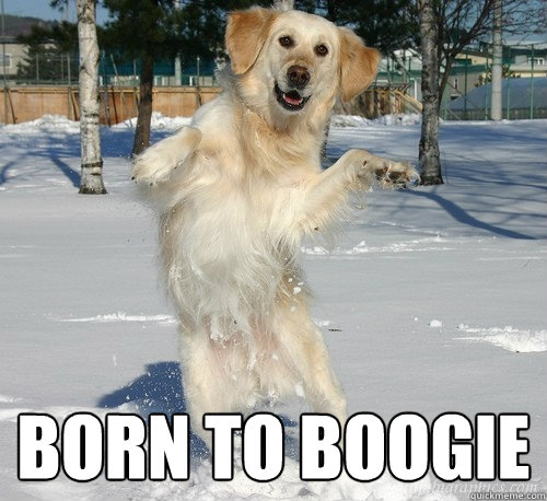  Born to boogie  Born to boogie