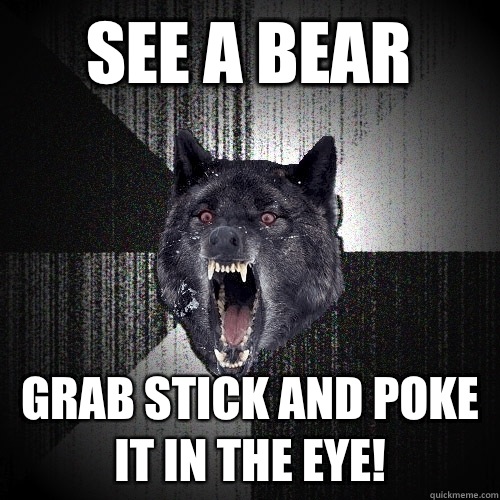 See a bear Grab stick and poke it in the eye!  Insanity Wolf