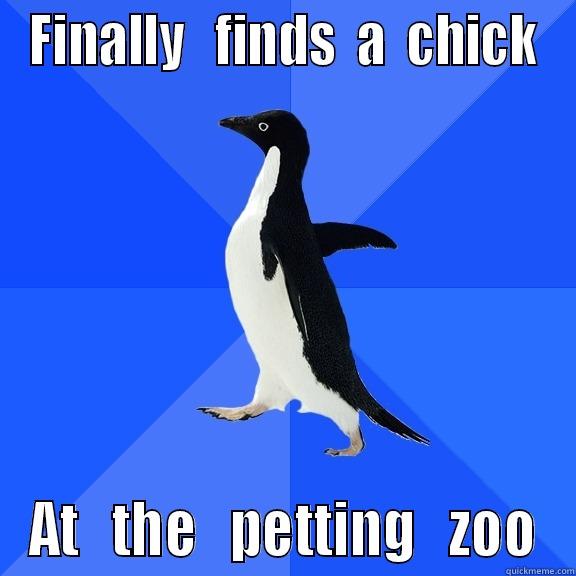 FINALLY   FINDS  A  CHICK AT   THE   PETTING   ZOO Socially Awkward Penguin