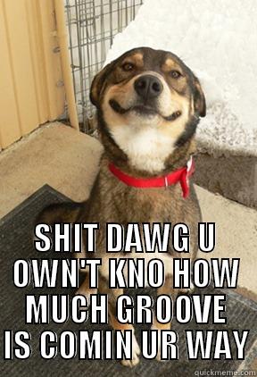  SHIT DAWG U OWN'T KNO HOW MUCH GROOVE IS COMIN UR WAY Good Dog Greg