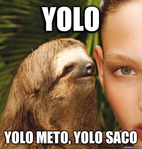 YOLO YOLO METO, YOLO SACO  rape sloth