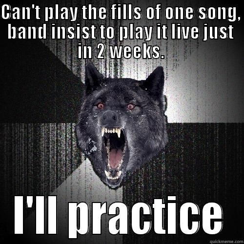 CAN'T PLAY THE FILLS OF ONE SONG, BAND INSIST TO PLAY IT LIVE JUST IN 2 WEEKS. I'LL PRACTICE Insanity Wolf