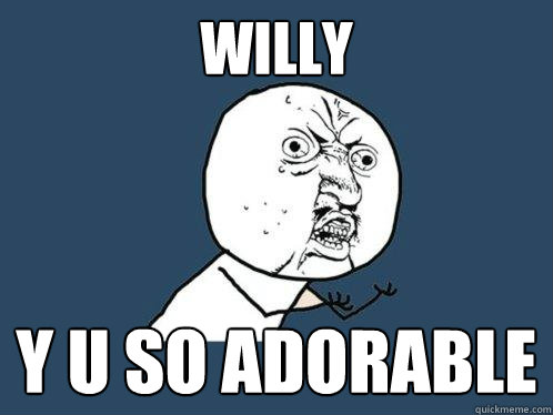 Willy Y u so adorable  Y U No