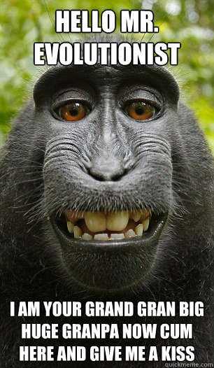 Hello mr. evolutionist I am your grand gran big huge granpa now cum here and give me a kiss  Mindful Macaque