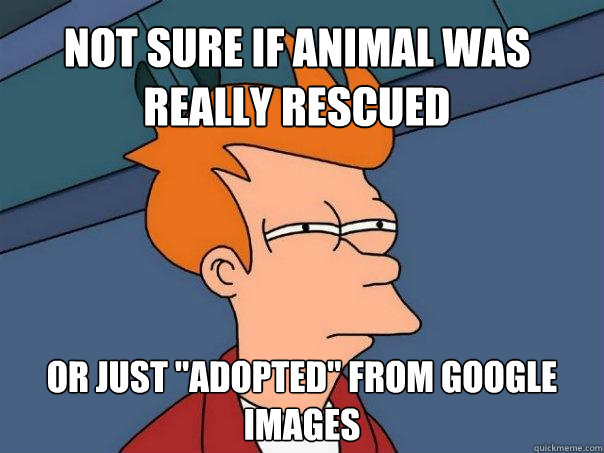 Not sure if animal was  really rescued or just 