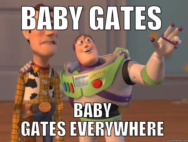 BABY GATES - BABY GATES BABY GATES EVERYWHERE Toy Story