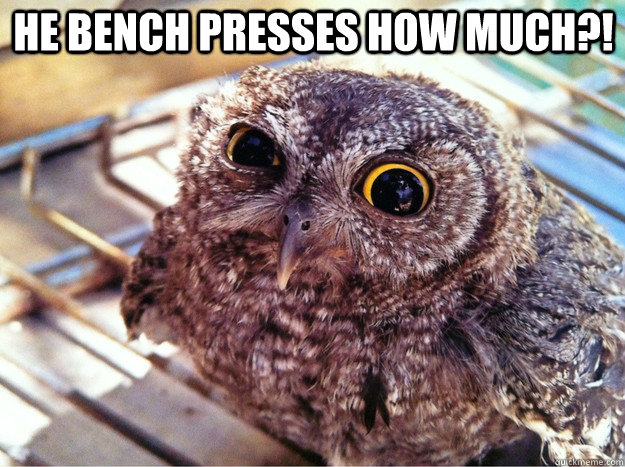 He bench presses how much?!    Skeptical Owl