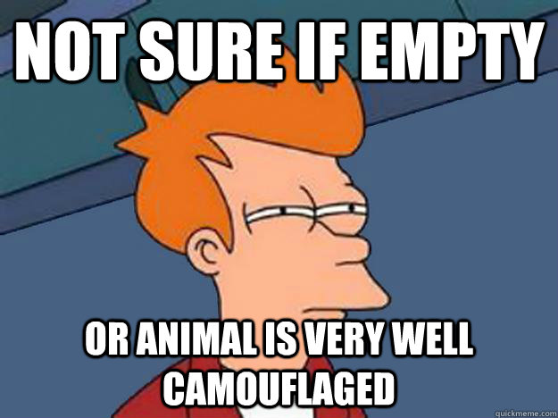 Not sure if empty or animal is very well camouflaged  Unsure Fry