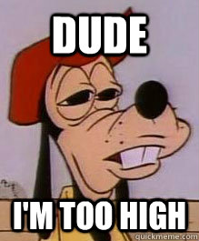 DUDE I'm too high  