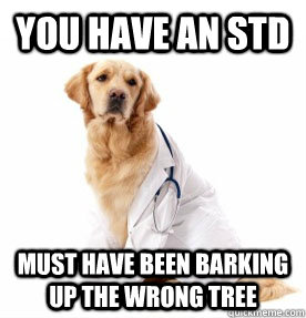 you have an std must have been barking up the wrong tree  