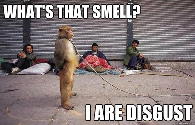 i are disgust what's that smell?  Superior Monkey