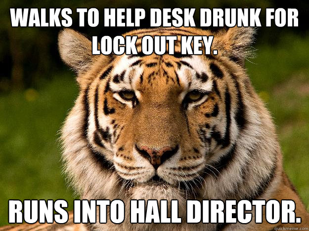 Walks to help desk drunk for lock out key.  Runs into hall director.  Typical College Student Tiger