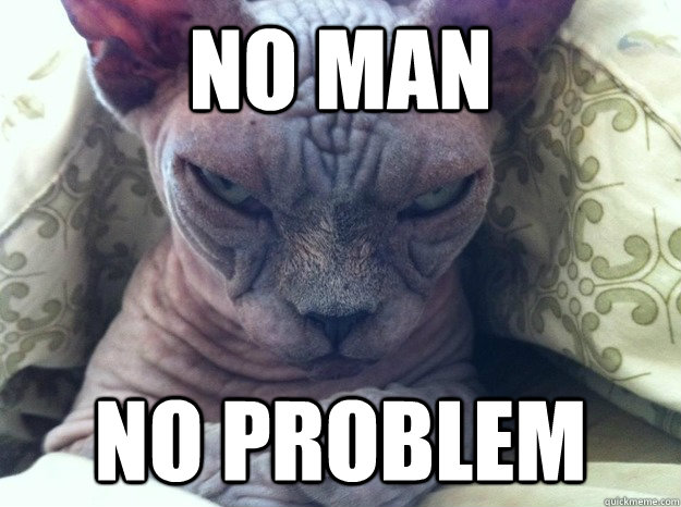 No Man No Problem  Sinister Cat