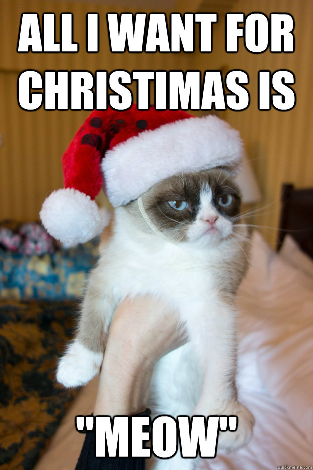 All I want for christimas is 